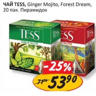 Акция - ЧАЙ TESS, Ginger Mojito, Forest Dream