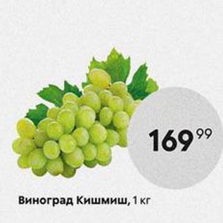 Акция - Виноград Кишмиш, 1 кг