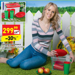 Акция - Набор для пикника