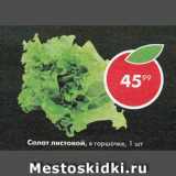 Магазин:Пятёрочка,Скидка:салат листовой в горшочке