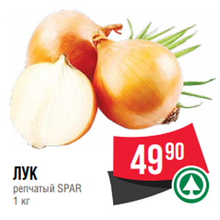 Акция - Лук репчатый SPAR 1 кг