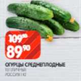 Spar Акции - Огурцы
среднеплодные
