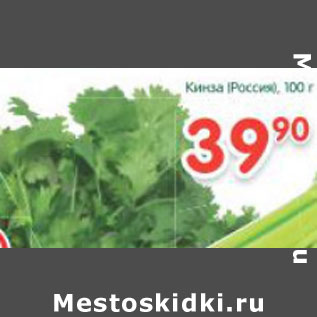 Акция - Кинза Россия