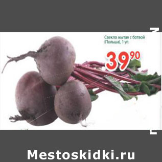 Акция - Свекла мытая с ботвой Польша