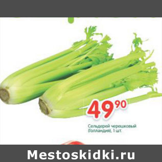 Акция - Сельдерей Черешковый Голландия
