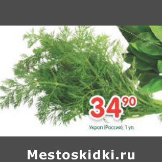 Акция - Укроп Россия