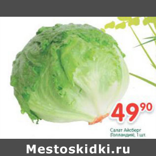 Акция - Салат Айсберг Голландия