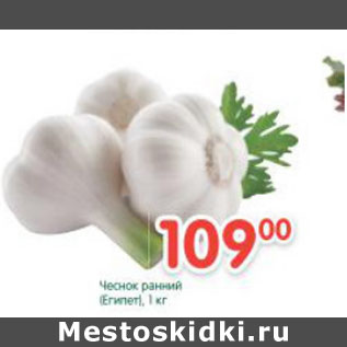 Акция - Чеснок ранний Египет