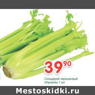 Акция - Сельдерей Черешковый Израиль