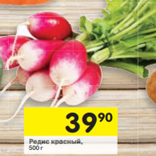 Акция - Редис красный,