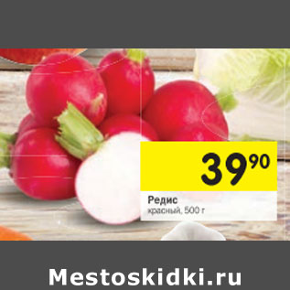 Акция - Редис красный,