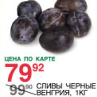 Акция - Сливы черные Венгрия