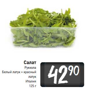Акция - Салат Руккола Белый латук + красный латук