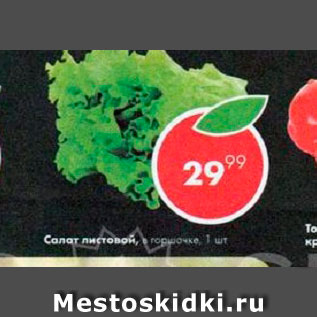 Акция - Салат Листовой
