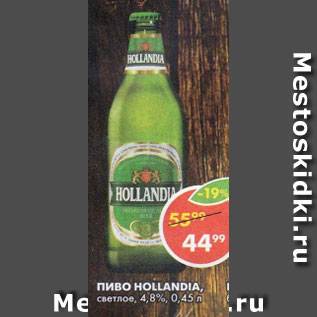 Акция - Пиво Hollandia