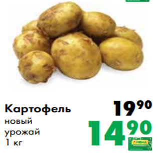 Акция - Картофель новый урожай 1 кг