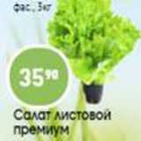Магазин:Авоська,Скидка:Салат листовой премиум