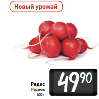 Акция - Редис Израиль