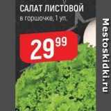 Магазин:Верный,Скидка:САЛАТ ЛИСТОВОЙ в горшочке