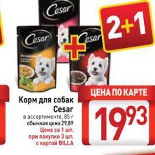 Акция - Корм для собак Česar