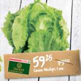 Магазин:Spar,Скидка:САЛАТ АЙСБЕРГ