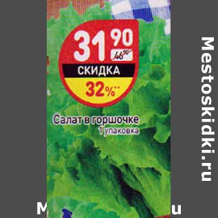 Акция - Салат в горшочке