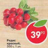 Магазин:Пятёрочка,Скидка:Редис красный 1 уп