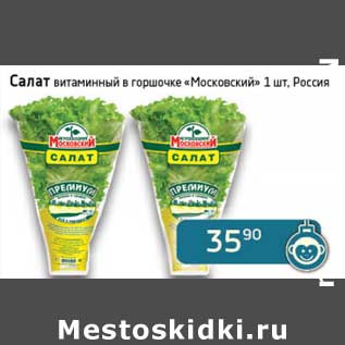 Акция - Салат витаминный в горшочке "Московский"