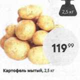 Магазин:Пятёрочка,Скидка:Картофель мытый, 2,5 кг