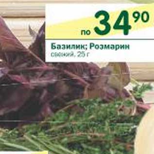 Акция - Базилик; Розмарин