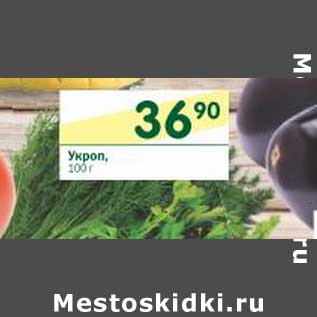 Акция - Укроп