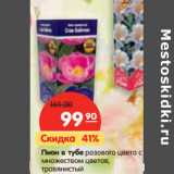 Магазин:Карусель,Скидка:Пион в тубе розового цвета с
множеством цветов,
травянистый