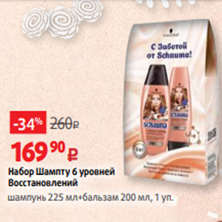 Акция - Набор Шампту 6 уровней Восстановлений шампунь 225 мл+бальзам 200 мл, 1 уп.