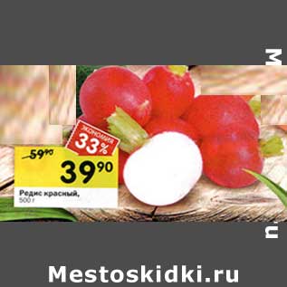Акция - Редис красный