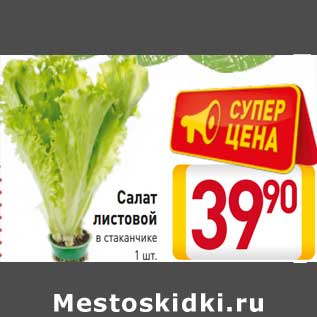 Акция - Салат листовой