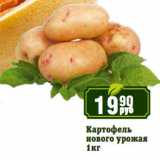 Магазин:Реалъ,Скидка:Картофель
нового урожая 
