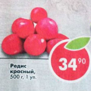 Акция - Редис красный