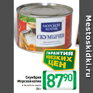 Акция - Скумбрия Морской котик в томатном соусе