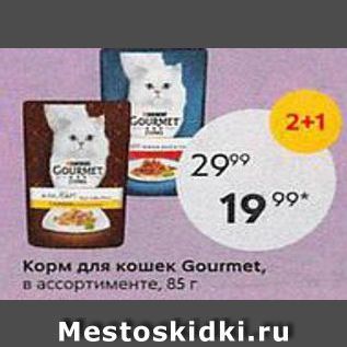 Акция - Корм для кошек Gourmet