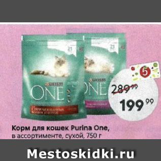 Акция - Корм для кошек Purina One