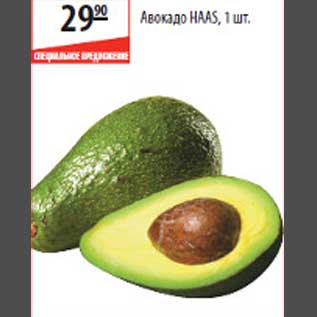 Акция - Авокадо HAAS