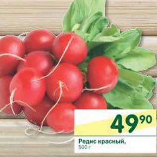 Акция - Редис красный