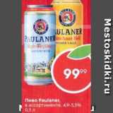 Магазин:Пятёрочка,Скидка:Пиво Paulaner