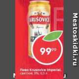 Магазин:Пятёрочка,Скидка:Пиво Krusovice 5%