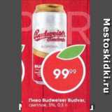 Магазин:Пятёрочка,Скидка:Пиво Budweiser Budvar